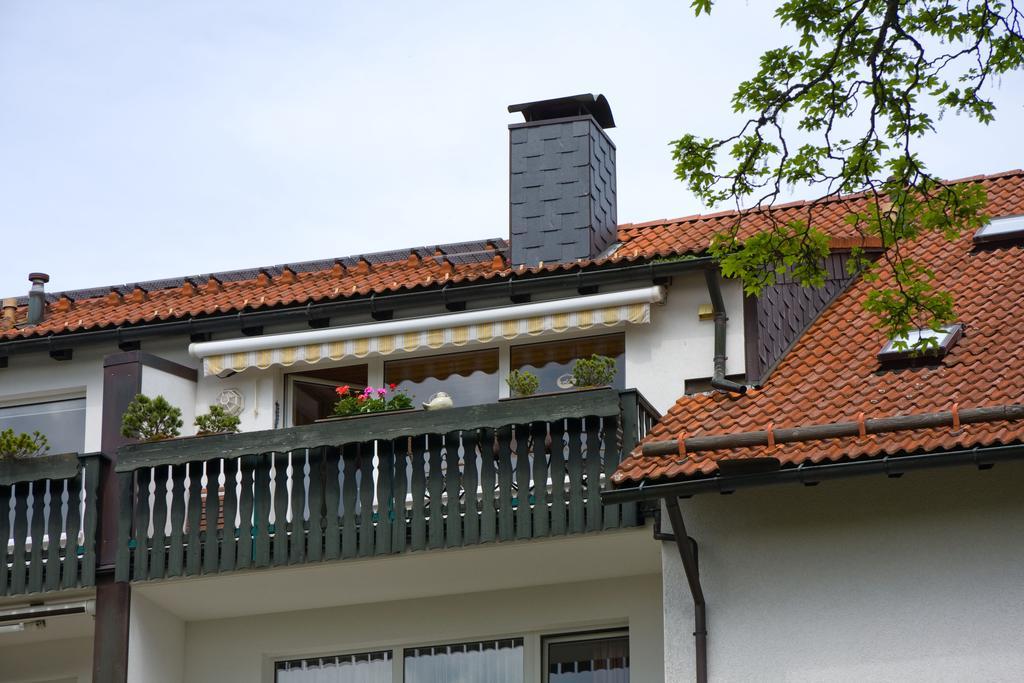 Maisonette Apartment Am Kurpark Braunlage Ngoại thất bức ảnh