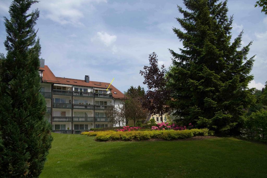 Maisonette Apartment Am Kurpark Braunlage Ngoại thất bức ảnh